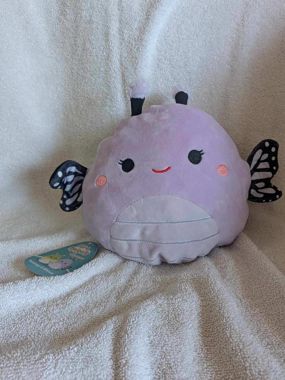 Squishmallows Pastel Green Snail Plush with Yellow, Blue, and Cream Layers - Picture 2 of 4